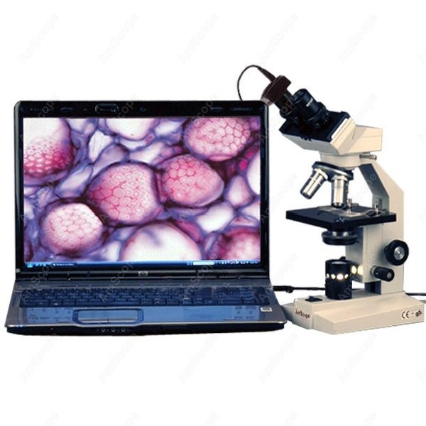 Amscope Microscope Compound 40X-1000X - Microscopio Composto Biologico Binoculare Serie AmScope