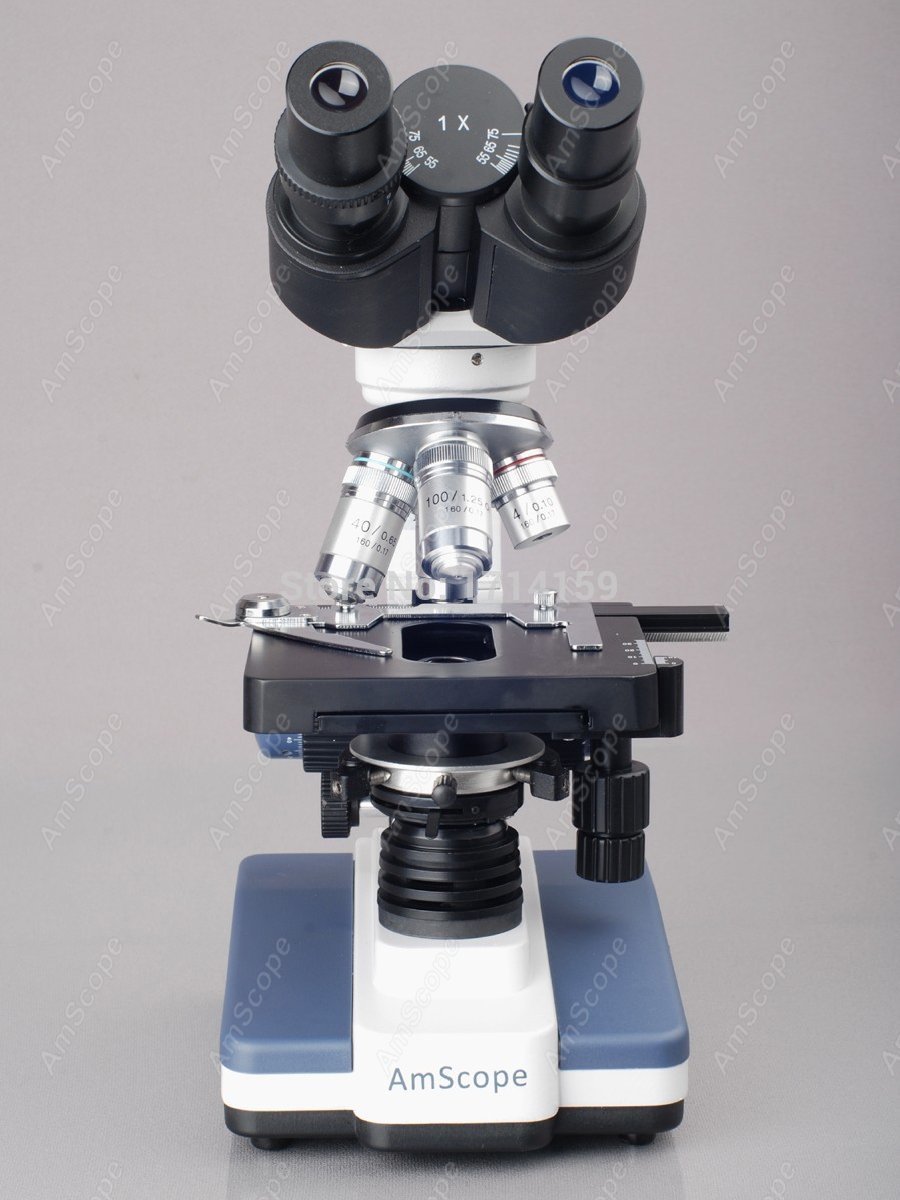 Microscopio Composto Binocular - Amscope Microscope Compound 40X-1000X recensione e prezzo