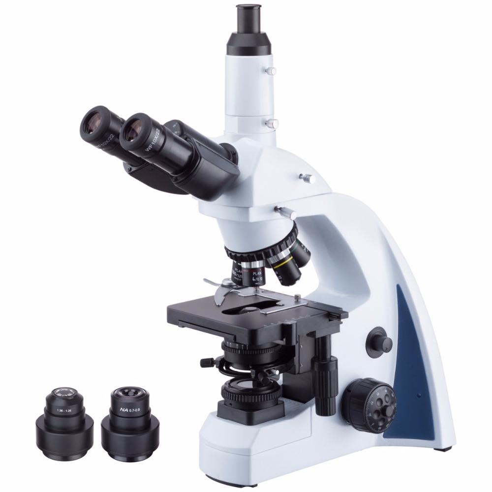 AmScope Microscopio composto t - Amscope Microscope Compound 40X-1000X recensione e prezzo