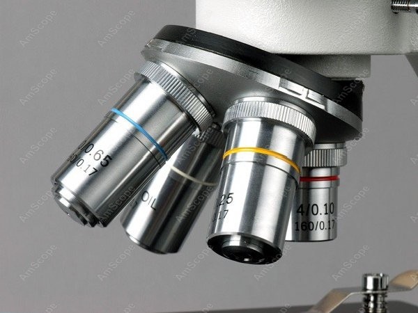 Microscopio Composto Biologico - Amscope Microscope Compound 40X-1000X recensione e prezzo