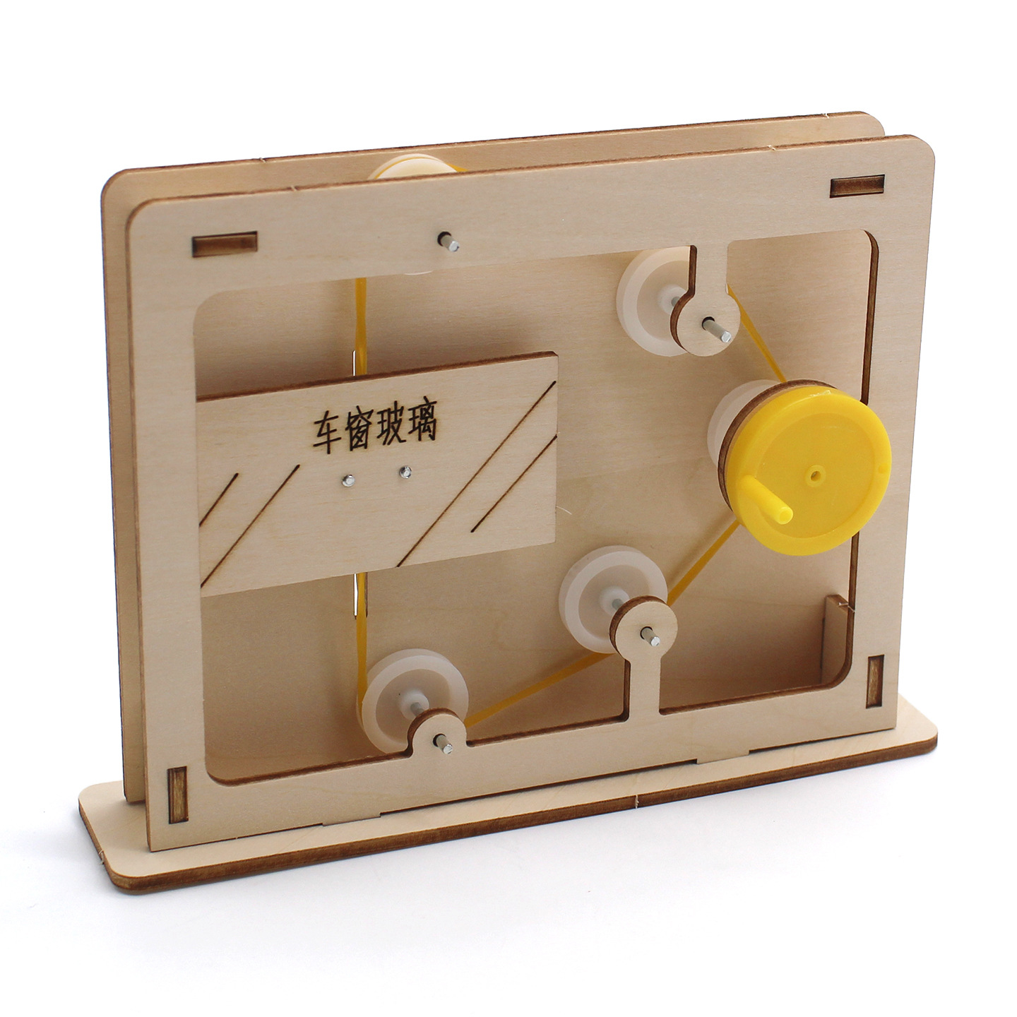 Modello educativo con fune e c - Science Diy Model recensione e prezzo