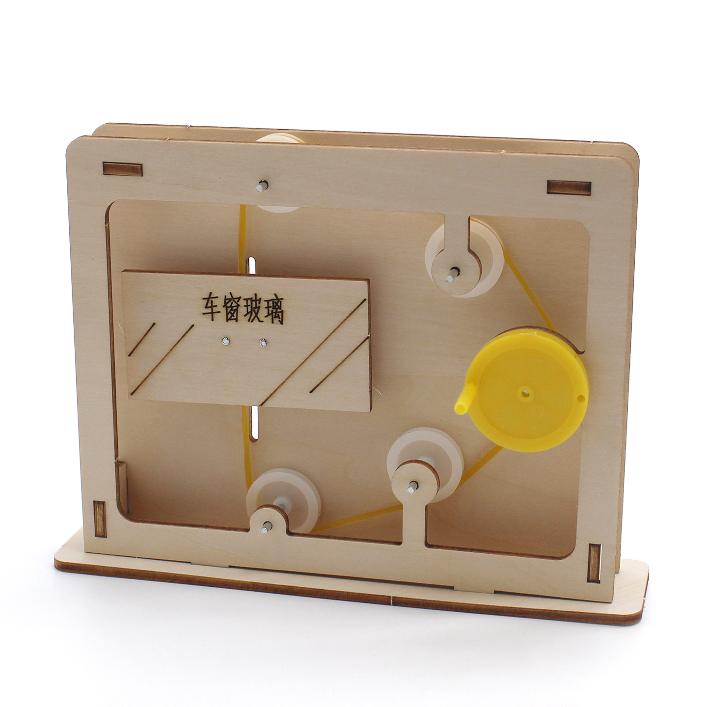 Modello educativo con fune e c - Science Diy Model recensione e prezzo